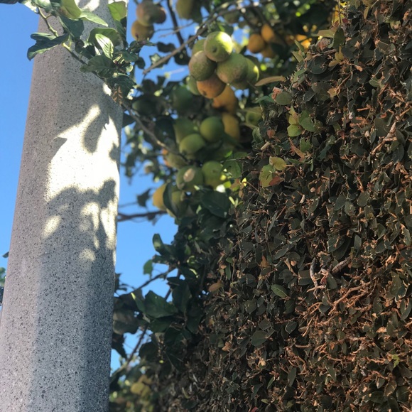 Meet your Posher, Ana - Picture 1 of 1